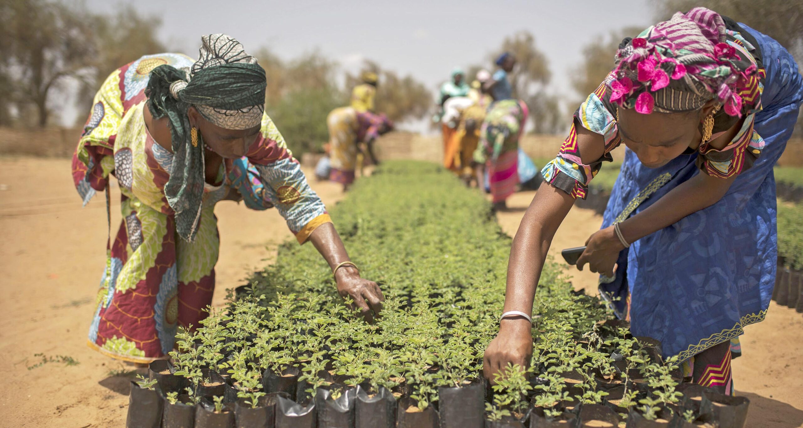 Healthy land for a healthy SDG Action