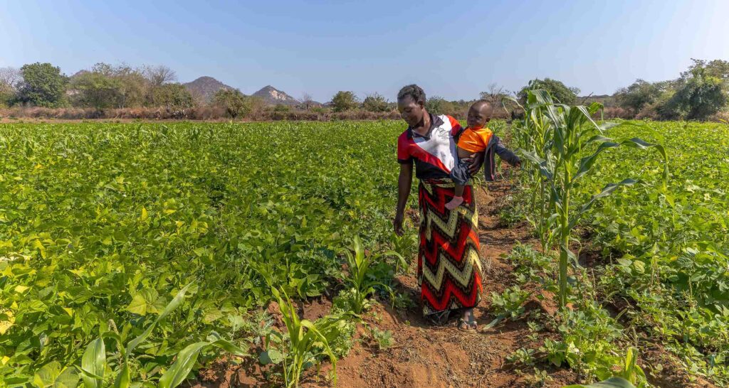 A woman and child inspect crops on a farm in Guro, Mozambique.