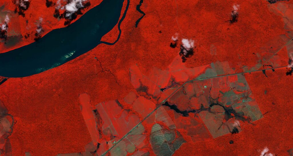 A false-colour image of the Amazon rainforest, highlighting cleared vegetation.