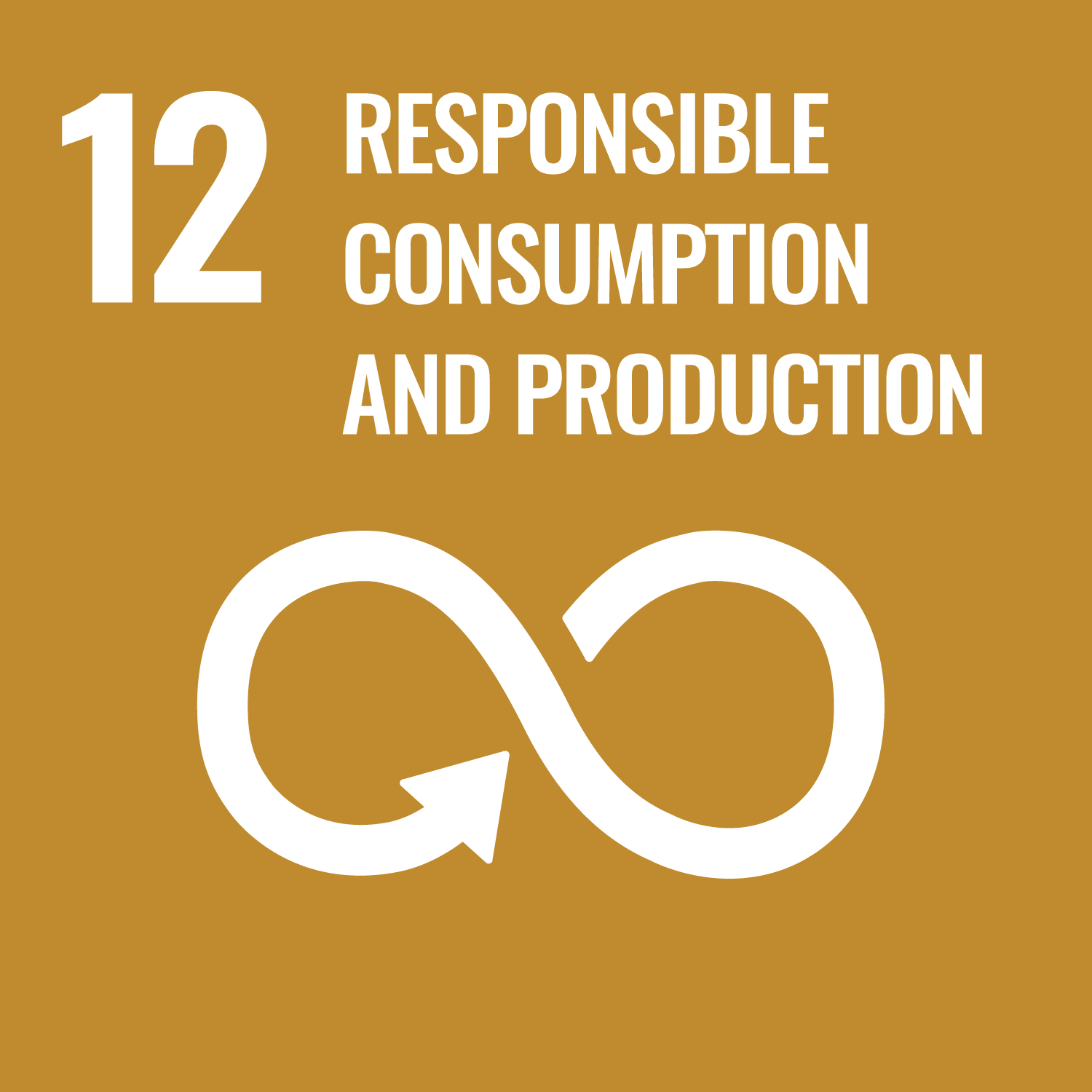 Icon for Responsible consumption and production