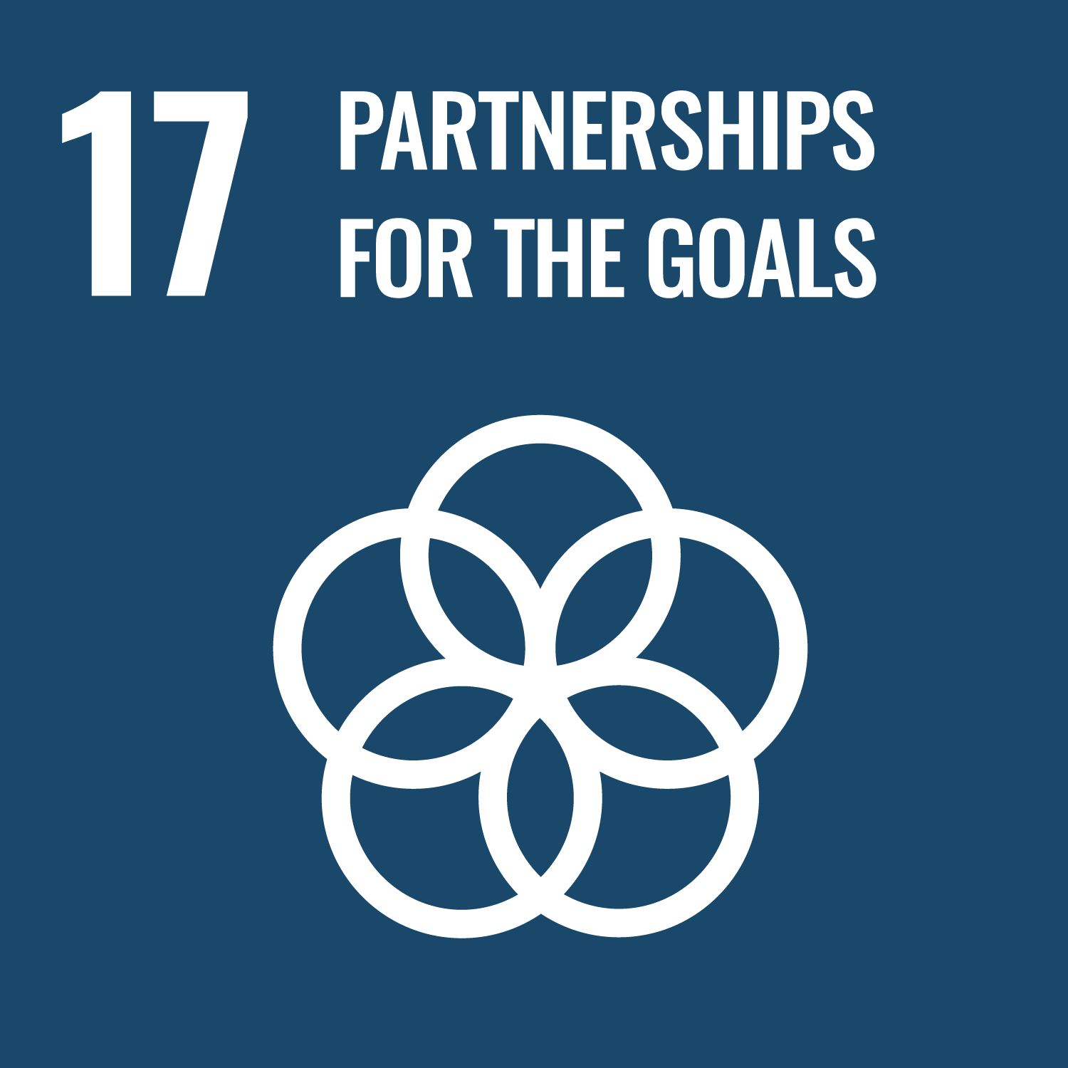 Icon for Partnerships for the Goals