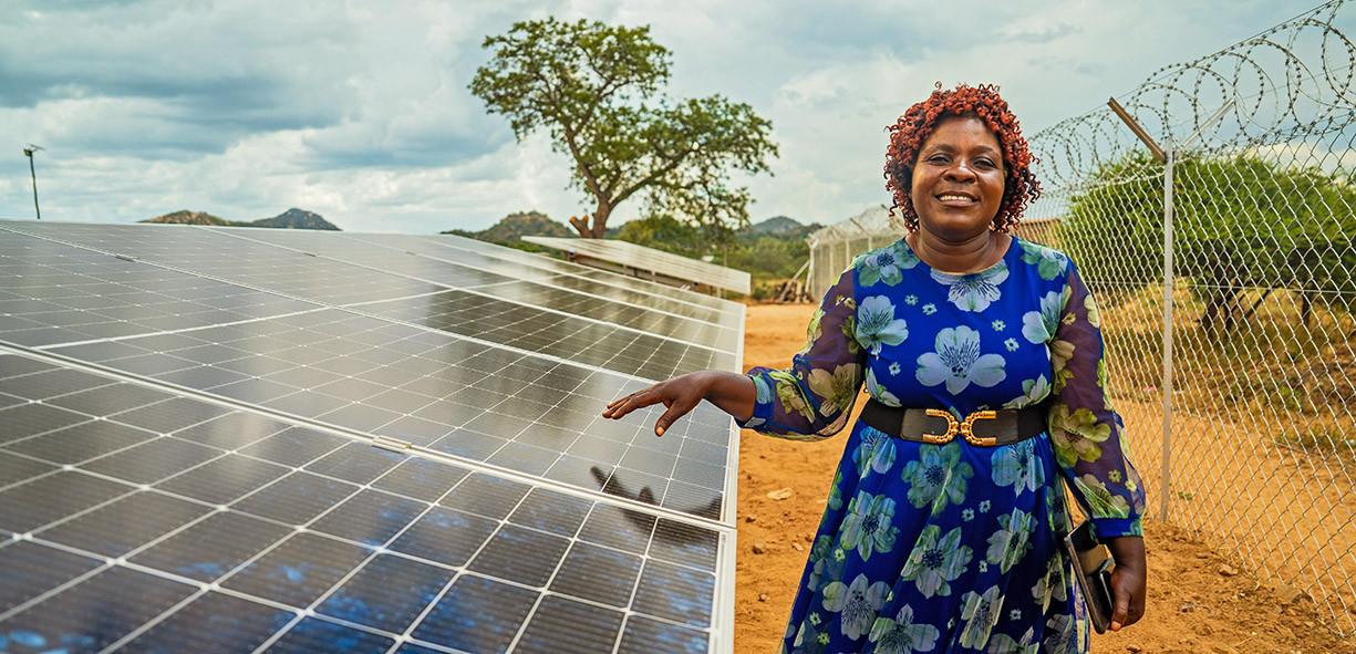Mopane worms in Zimbabwe