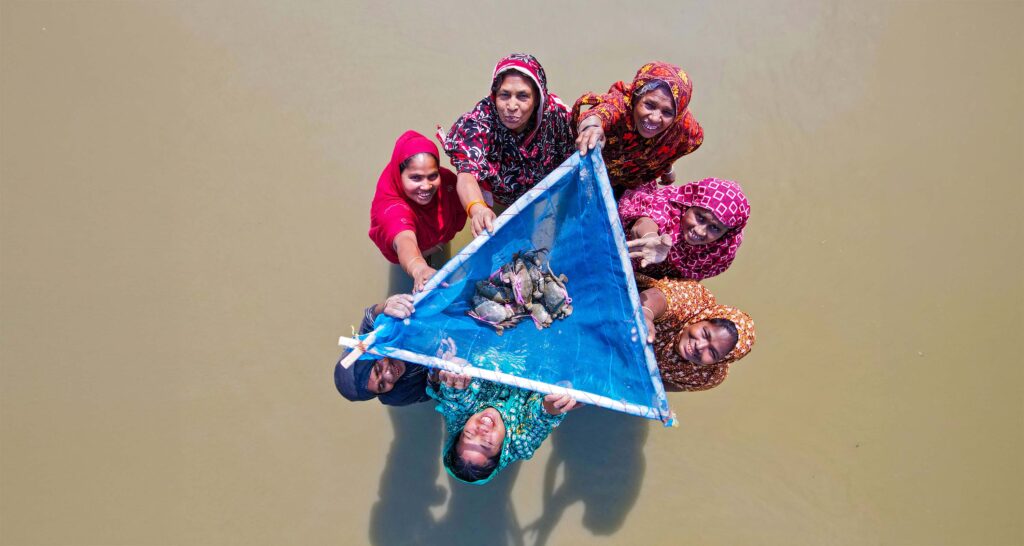Women farming edible crabs in Bangladesh