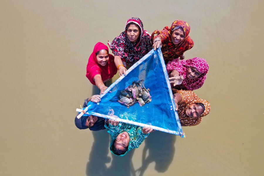 Women farming edible crabs in Bangladesh