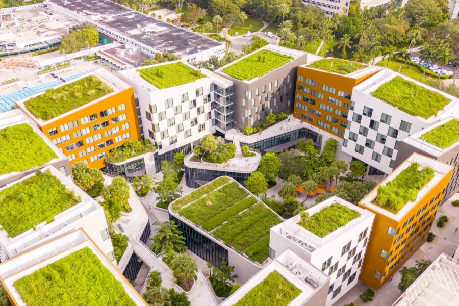 green rooves and rain gardens at University of Miami's Lakeside Village